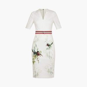 Ted Baker Tutti Frutti BodyCon.